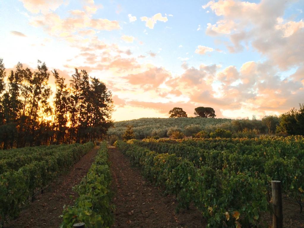 Calais Wine Estate Paarl Exterior foto